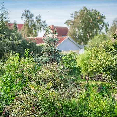 Apartment Lindenstrasse Anker Koserow